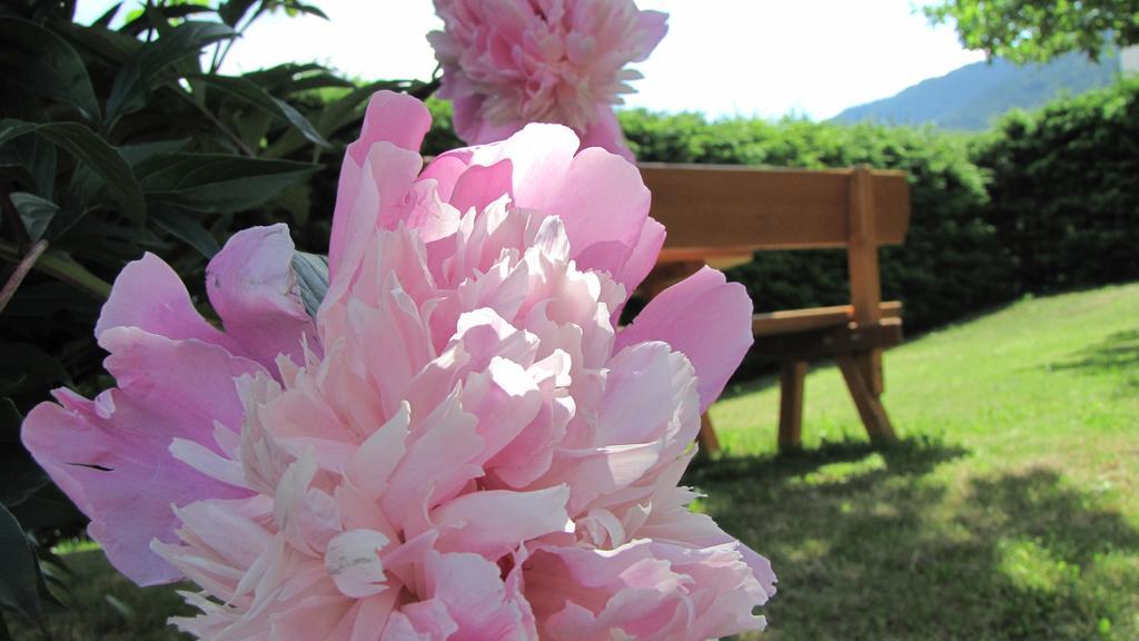 Appartement Garden Olang Εξωτερικό φωτογραφία